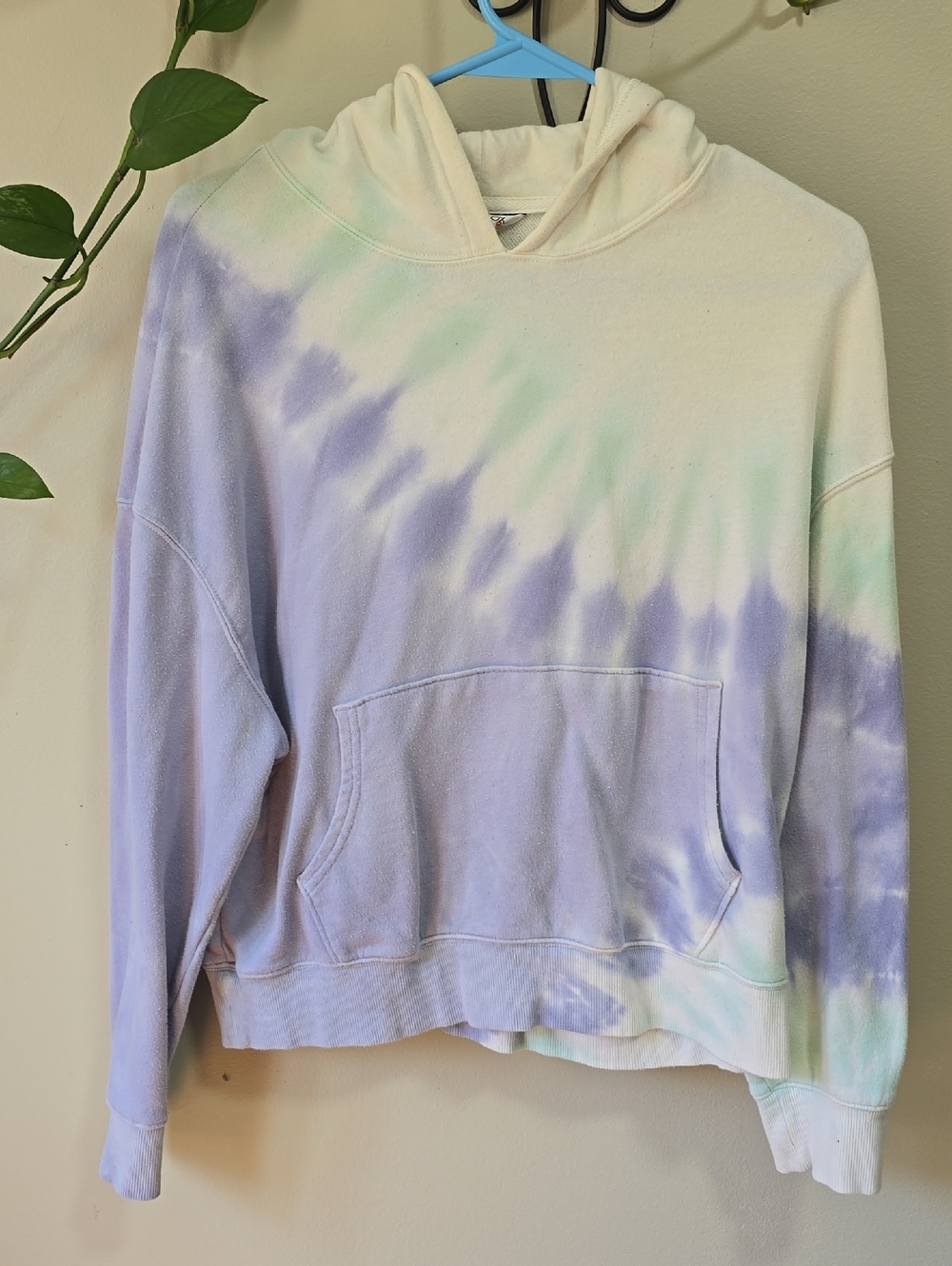 Wildfox Pastel Tie-Dye Hoodie in Lavender & Mint